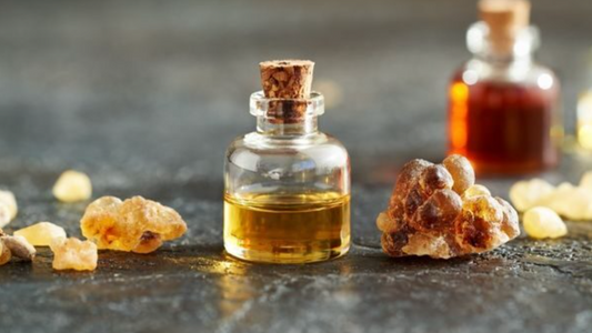 Organic Liquid Gold Frankincense Resin Oil